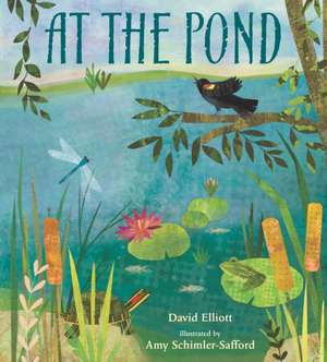 At the Pond de David Elliott