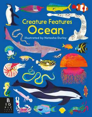 Creature Features: Ocean de Big Picture Press