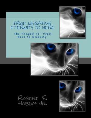 From Negative Eternity to Here de Robert S. Hobday Jr