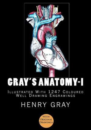 Gray's Anatomy de Henry Gray