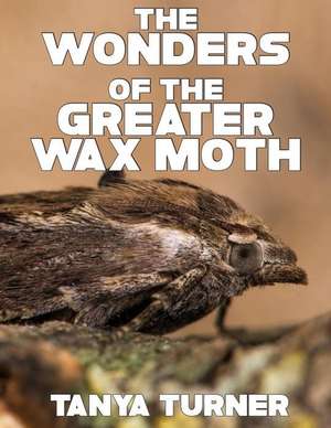 The Greater Wax Moth de Tanya Turner