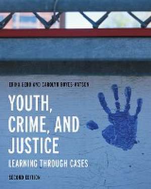 Youth, Crime, and Justice de Carolyn Boyes-Watson