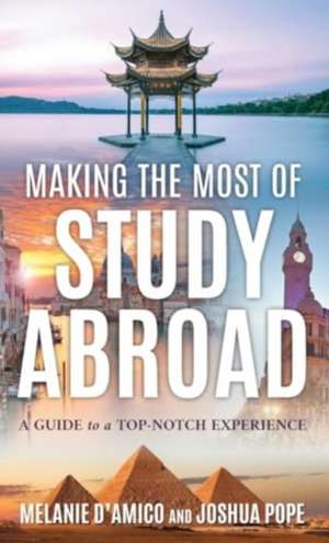 Making the Most of Study Abroad de Melanie L D'Amico