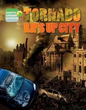 Tornado Rips Up City de Louise A. Spilsbury