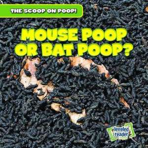 Mouse Poop or Bat Poop? de George Fittleworth