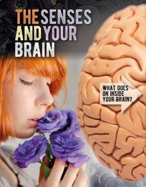 The Senses and Your Brain de Robyn Hardyman