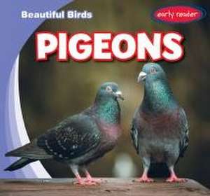 Pigeons de Bray Jacobson