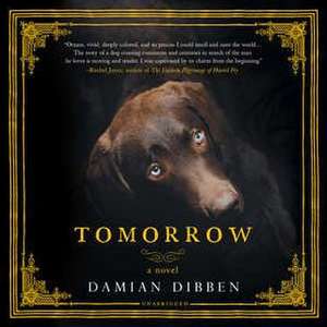 Tomorrow de Damian Dibben