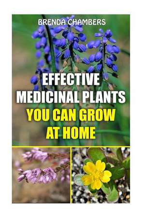 Effective Medicinal Plants You Can Grow at Home de Brenda Chambers