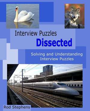 Interview Puzzles Dissected de Rod Stephens