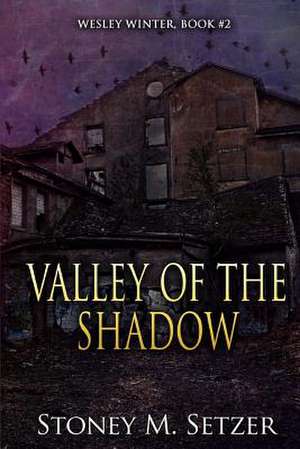 Valley of the Shadow de Stoney M. Setzer