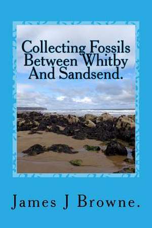 Collecting Fossils Between Whitby and Sandsend. de James J. Browne