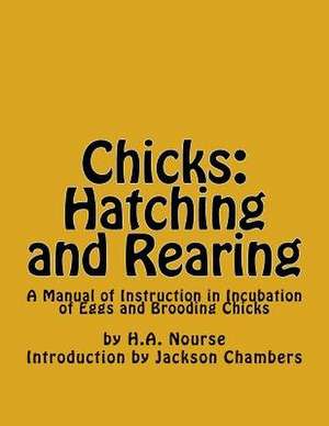 Chicks de H. a. Nourse