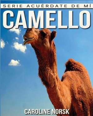 Camello de Caroline Norsk