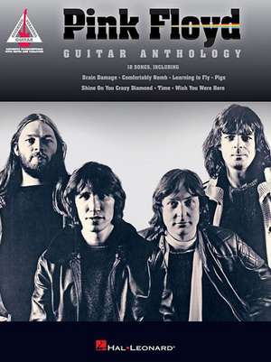 Pink Floyd - Guitar Anthology