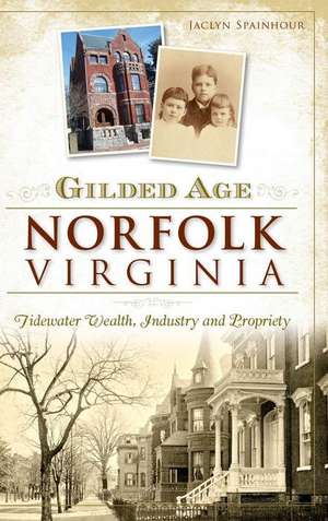 Gilded Age Norfolk, Virginia: Tidewater Wealth, Industry and Propriety de Jaclyn Spainhour