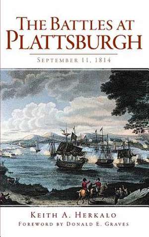 The Battles at Plattsburgh de Keith A. Herkalo