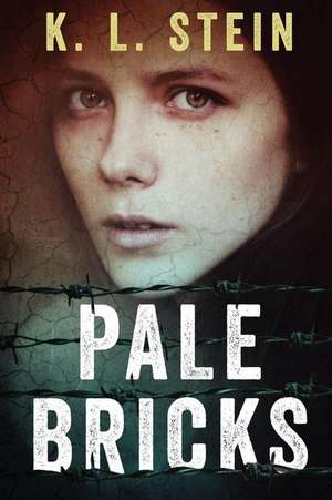 Pale Bricks de K. L. Stein