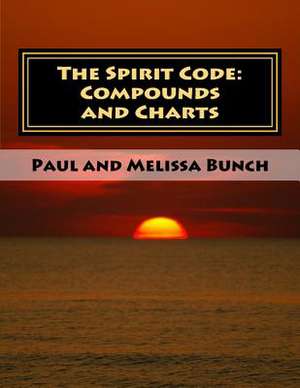 The Spirit Code de Paul Bunch