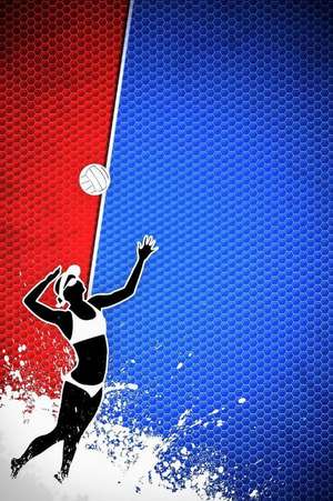 Volleyball Sports Journal Two de Cool Image