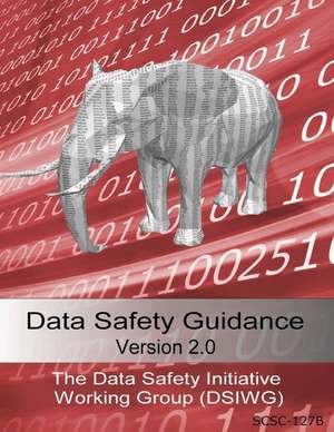 Data Safety Guidance de Data Safety Initiative Working Group