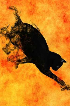 Magic Cat from Smoke on Orange de Unique Journal