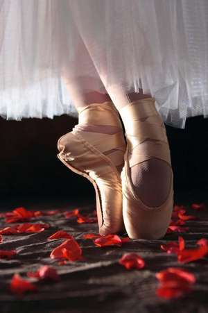 A Ballerina En Pointe on a Bed of Rose Petals Dance Journal de Cs Creations