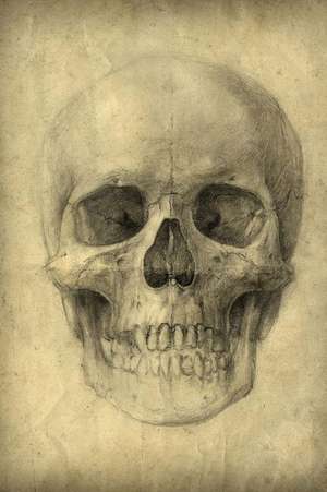 Drawing - Human Skull Study Journal de Cool Image