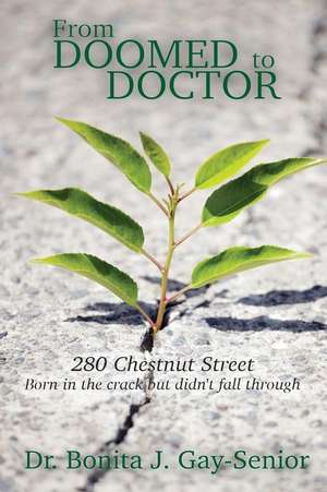 From Doomed to Doctor 280 Chestnut Street de Gay-Senior, Dr Bonita J.