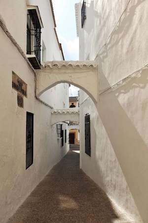 Narrow Alley with Whitewashed Houses in Cabra Spain Journal de Cool Image