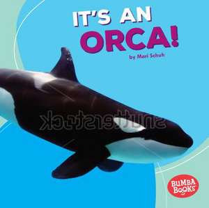 It's an Orca! de Mari C. Schuh