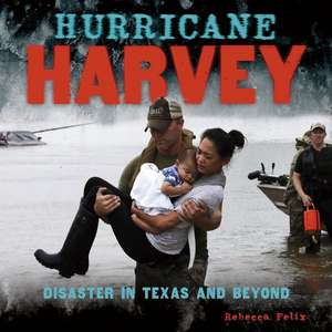 Hurricane Harvey de Rebecca Felix