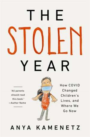 The Stolen Year de Anya Kamenetz