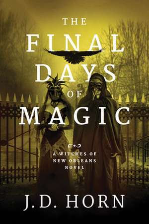 The Final Days of Magic de J D Horn