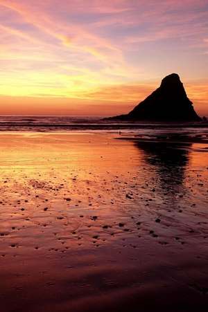 Sunset at Heceta Head State Park on the Oregon Coast Journal de Cs Creations