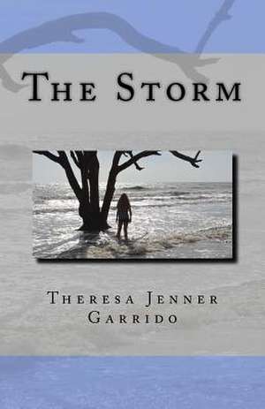 The Storm de Theresa Jenner Garrido