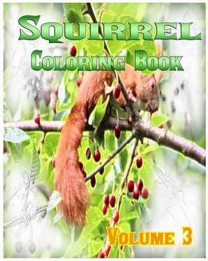 Squirrel Coloring Books Vol.3 for Relaxation Meditation Blessing de Melissa Kelly