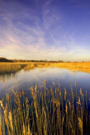 Pagham Nature Reserve United Kingdom Journal de Cs Creations