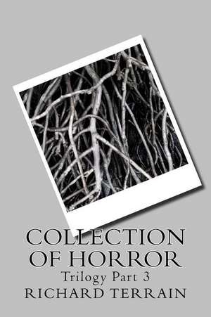 Collection of Horror de Richard Terrain