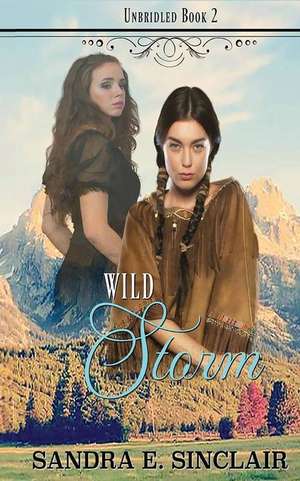 Wild Storm de Sincllair, Sandra E.