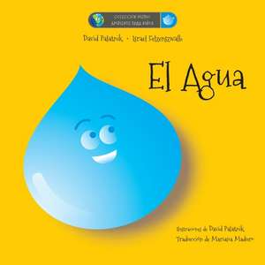 El Agua de David Palatnik