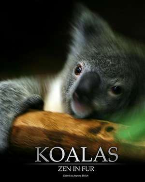 Koalas de Joanne Ehrich