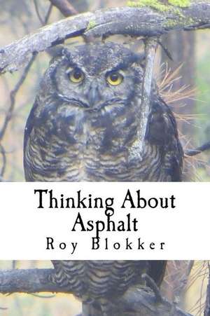 Thinking about Asphalt de Roy Blokker