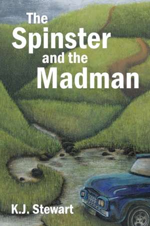 The Spinster and the Madman de K. J. Stewart