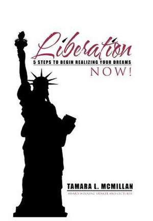 Liberation Now! de McMillan, Tamara