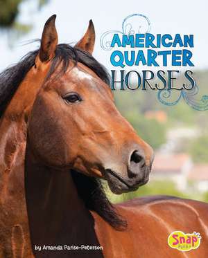 American Quarter Horses de Amanda Parise-Peterson