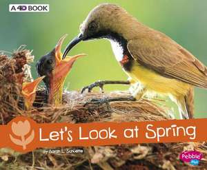 Let's Look at Spring de Sarah L. Schuette