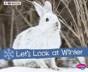 Let's Look at Winter de Sarah L. Schuette