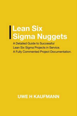 Lean Six Sigma Nuggets de Uwe H Kaufmann