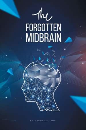 The Forgotten Midbrain de David Cs Ting